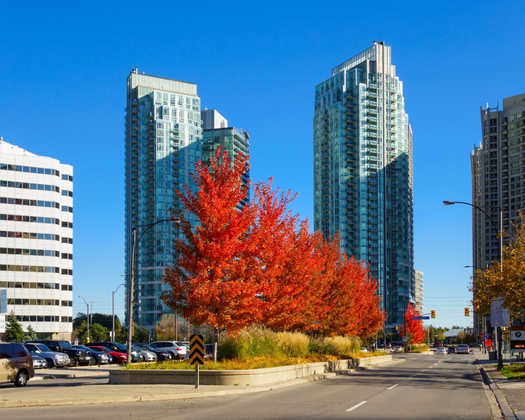 autumn-downtown-streets-mississauga