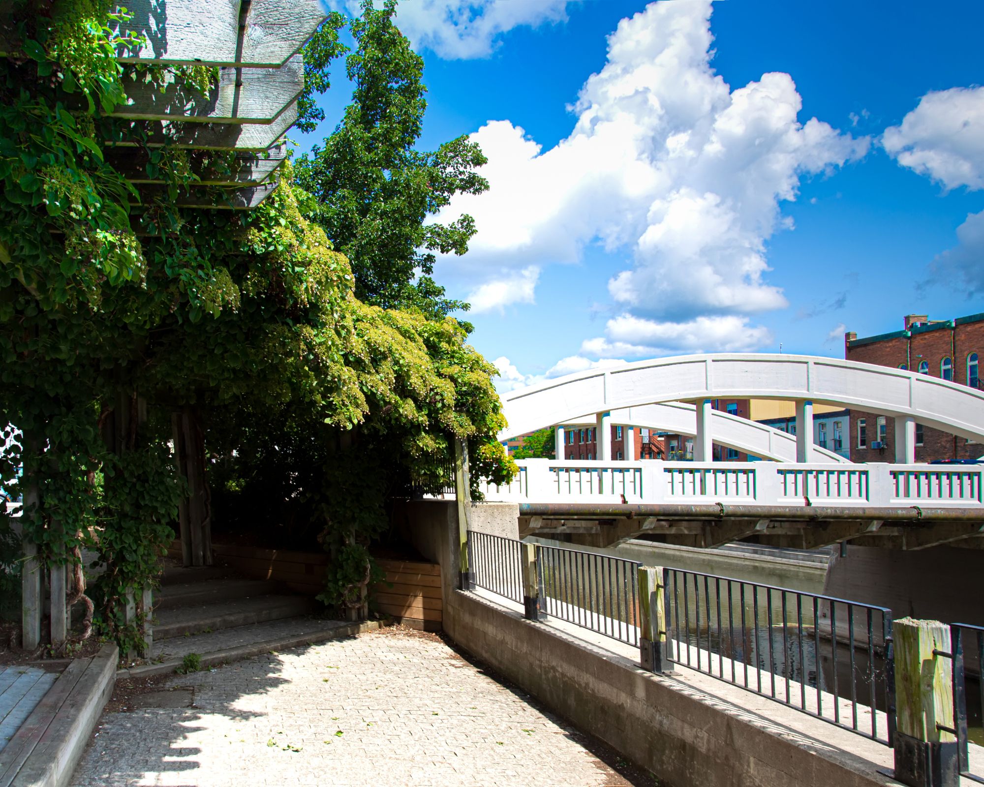 cambridge-main-street-bridge-summer